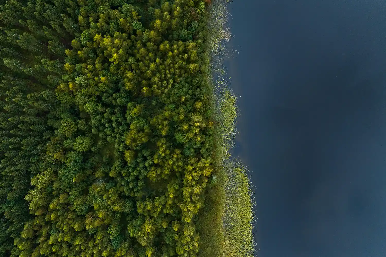 Duurzaamheid bij Cluma